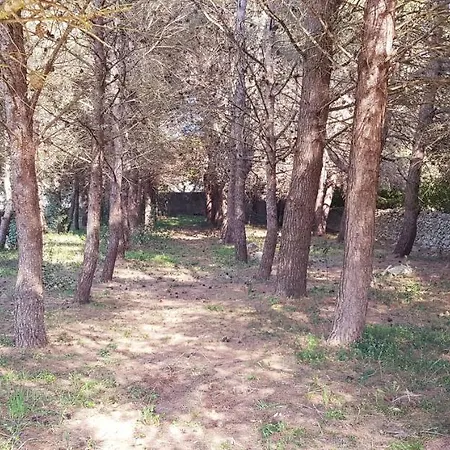 Casa Plautilla