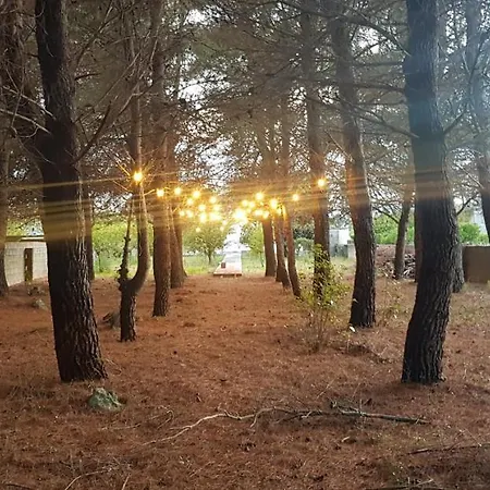 Casa Plautilla Holiday home
