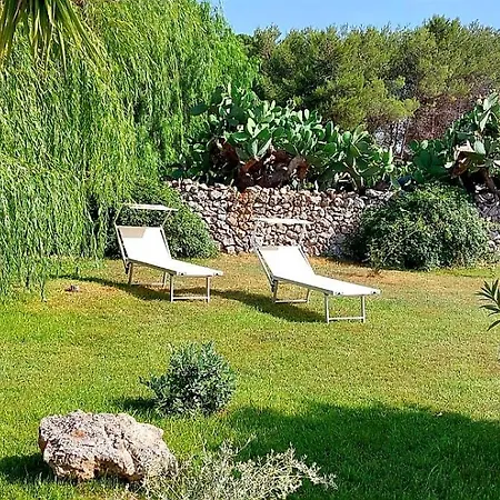 Casa Plautilla Maglie